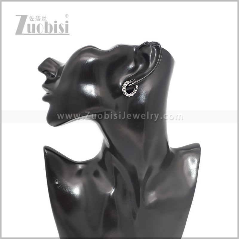 Stainless Steel Earring e002902S