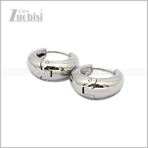 Stainless Steel Earring e002890S