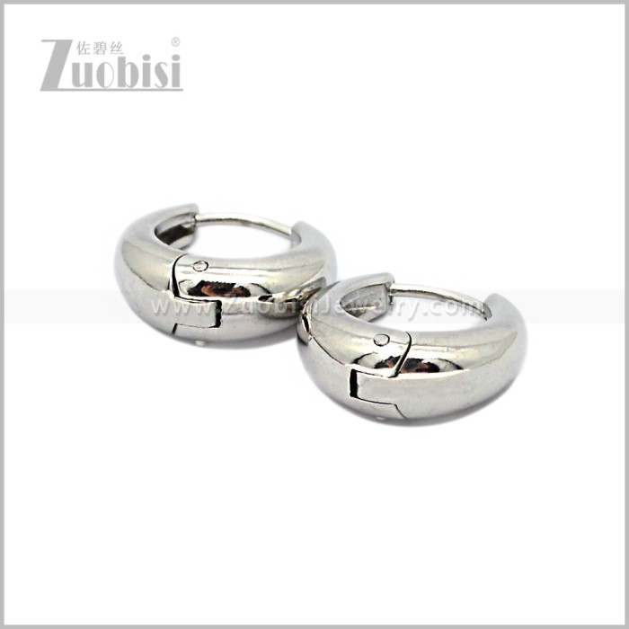 Stainless Steel Earring e002890S