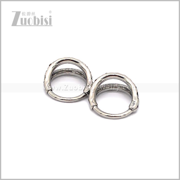 Stainless Steel Earring e002894S