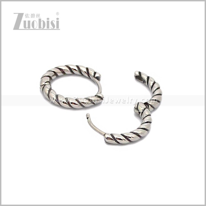 Stainless Steel Earring e002868S