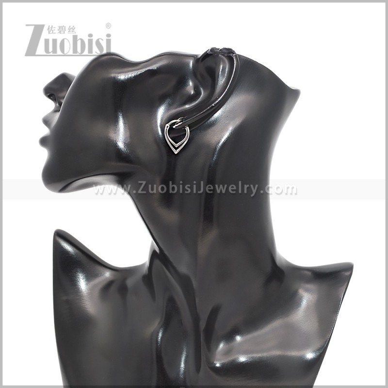 Stainless Steel Earring e002870S