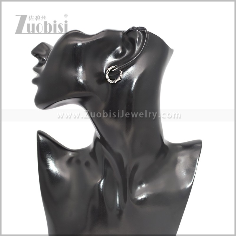 Stainless Steel Earring e002887S
