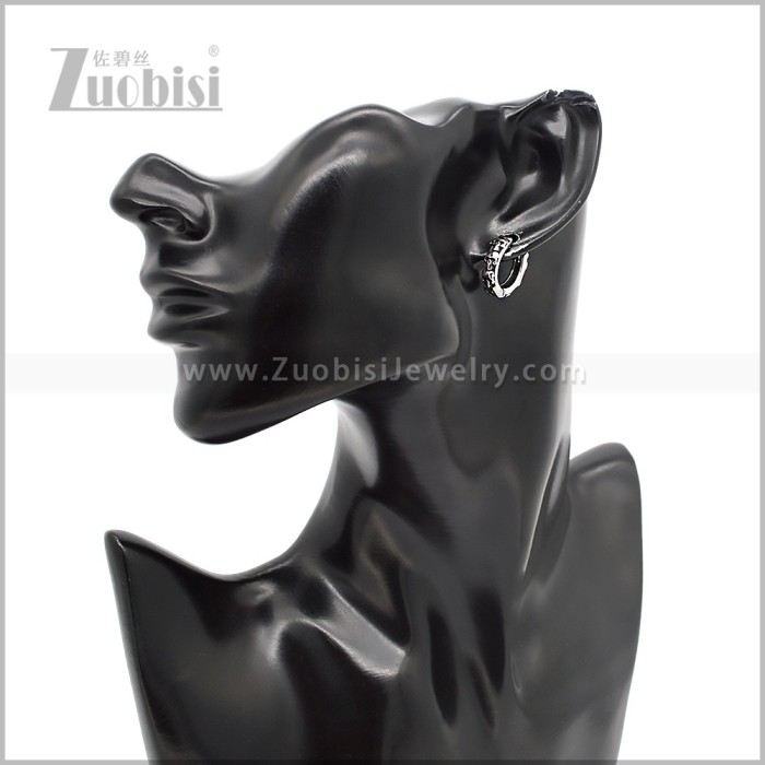 Stainless Steel Earring e002866S