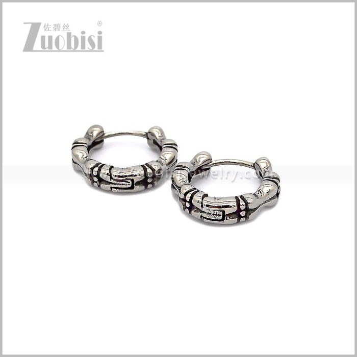 Stainless Steel Earring e002887S