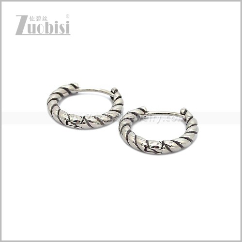 Stainless Steel Earring e002868S