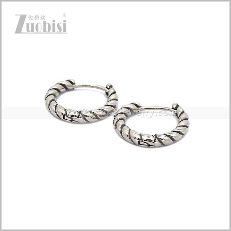 Stainless Steel Earring e002868S