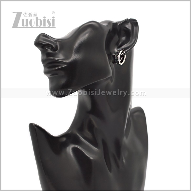 Stainless Steel Earring e002883S