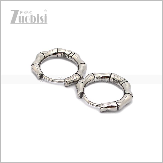 Stainless Steel Earring e002885S