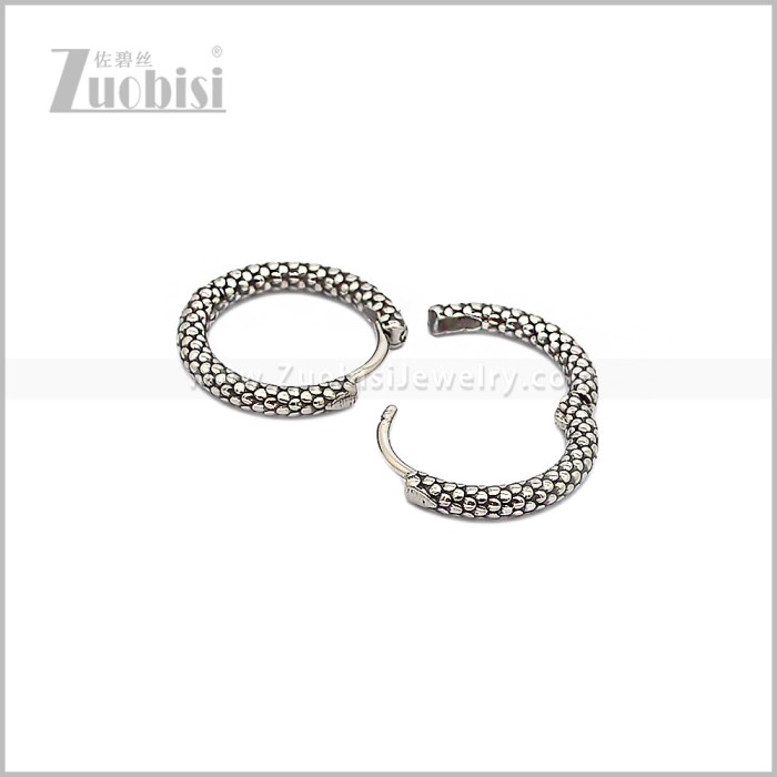 Stainless Steel Earring e002880S