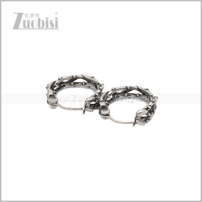 Stainless Steel Earring e002895S