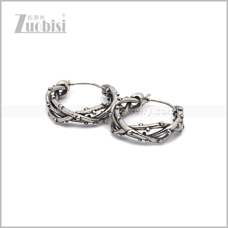 Stainless Steel Earring e002895S