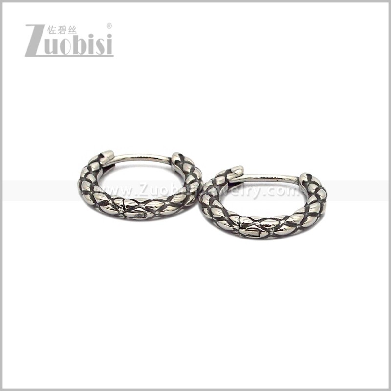 Stainless Steel Earring e002889S