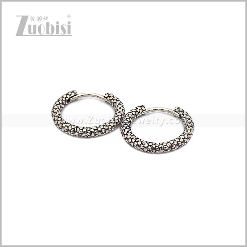 Stainless Steel Earring e002880S