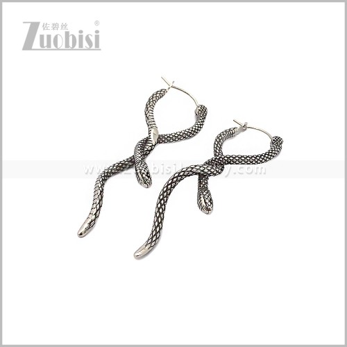 Stainless Steel Earring e002892S
