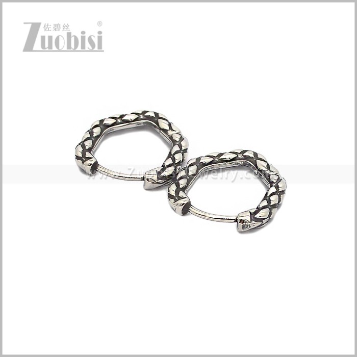 Stainless Steel Earring e002891S