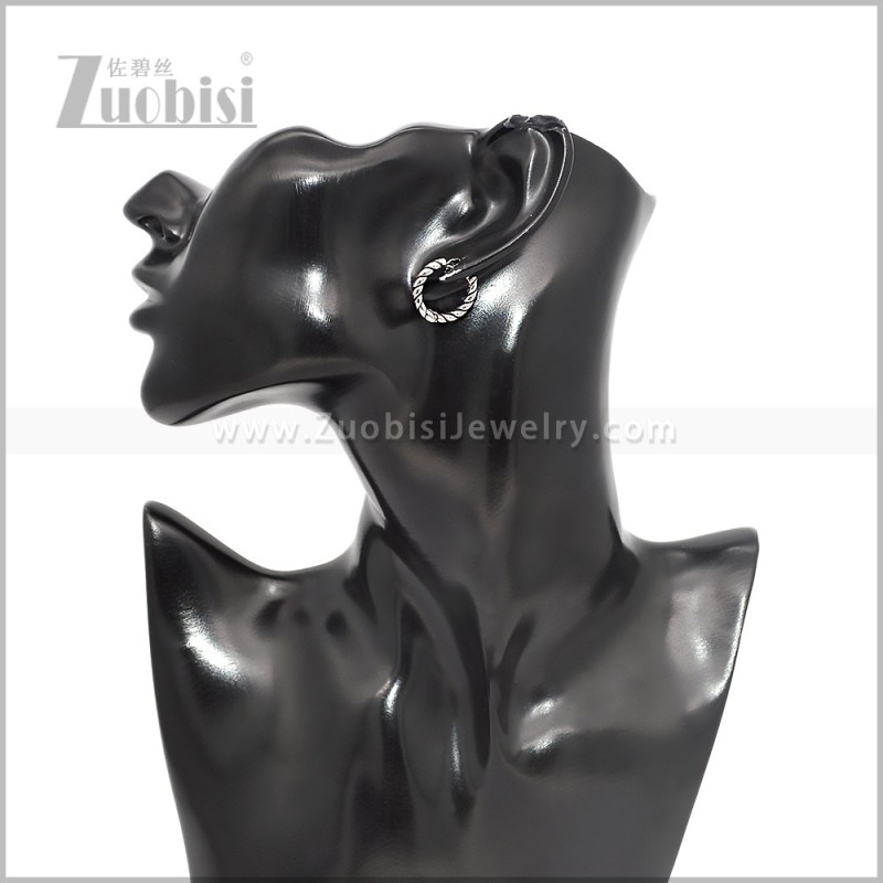Stainless Steel Earring e002868S