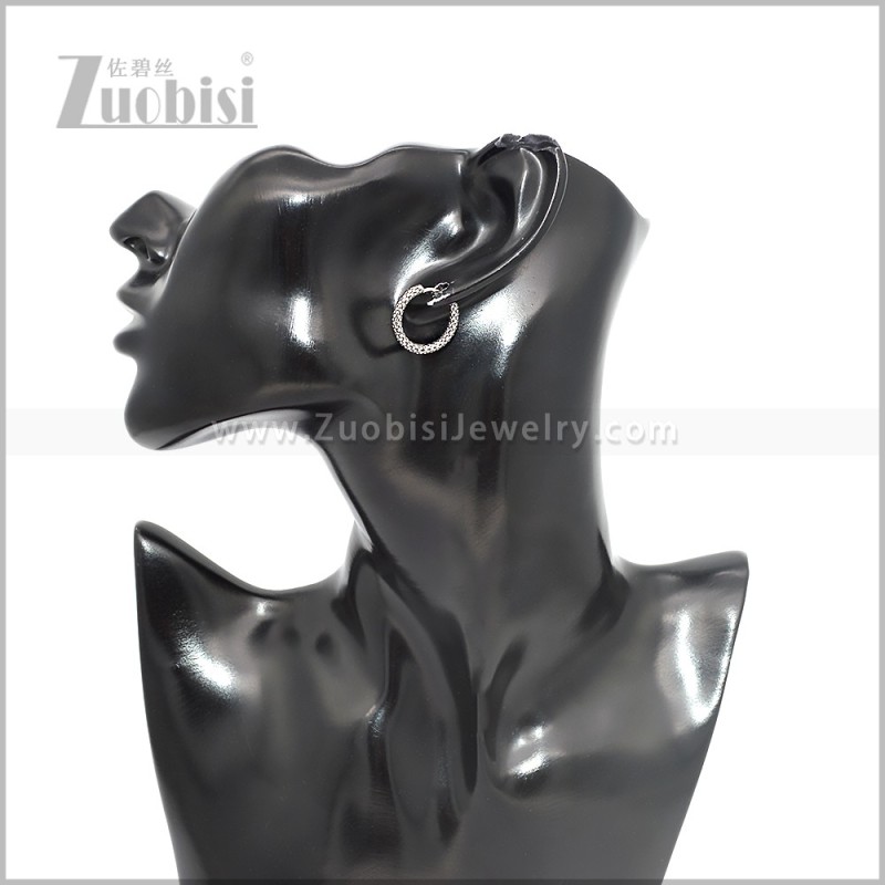 Stainless Steel Earring e002880S