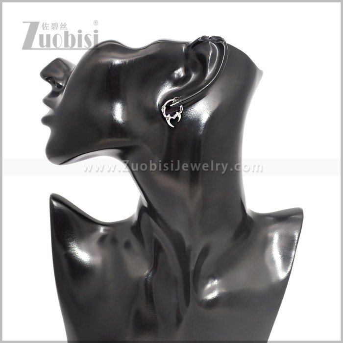 Stainless Steel Earring e002886S