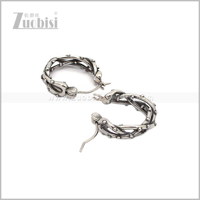 Stainless Steel Earring e002895S