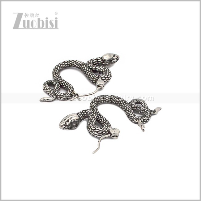 Stainless Steel Earring e002893S