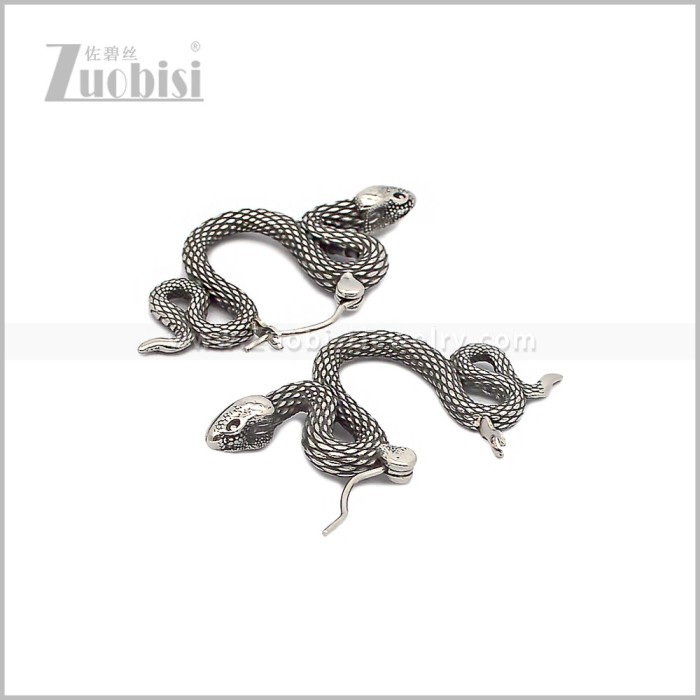 Stainless Steel Earring e002893S