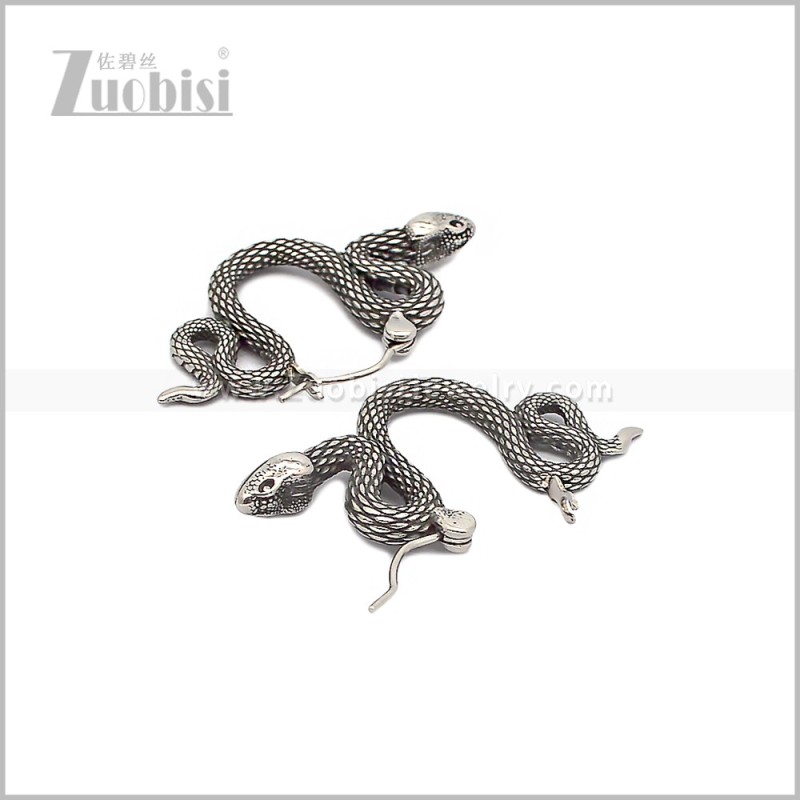 Stainless Steel Earring e002893S