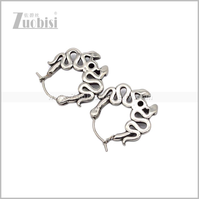 Stainless Steel Earring e002927S