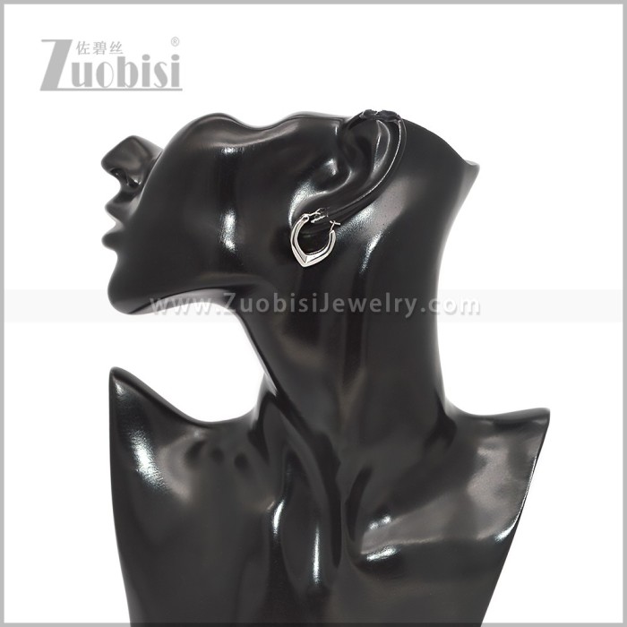 Stainless Steel Earring e002940S