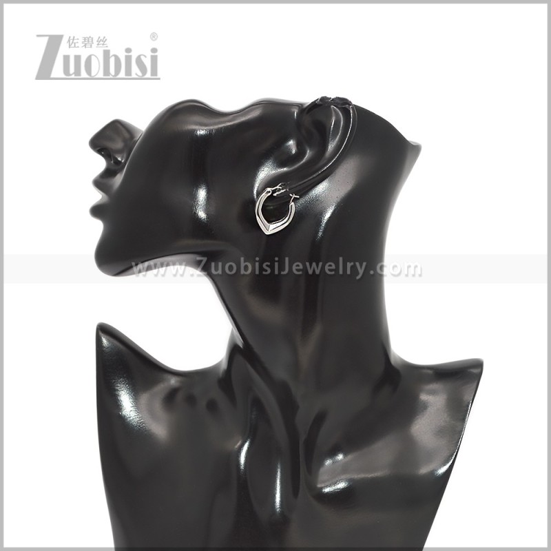 Stainless Steel Earring e002940S