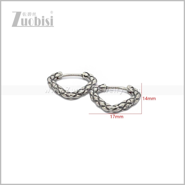 Stainless Steel Earring e002920S