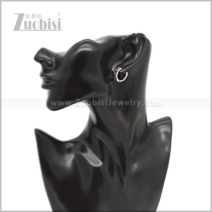 Stainless Steel Earring e002923S