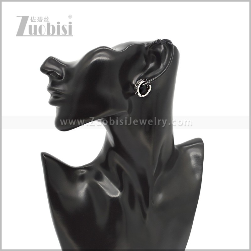 Stainless Steel Earring e002923S