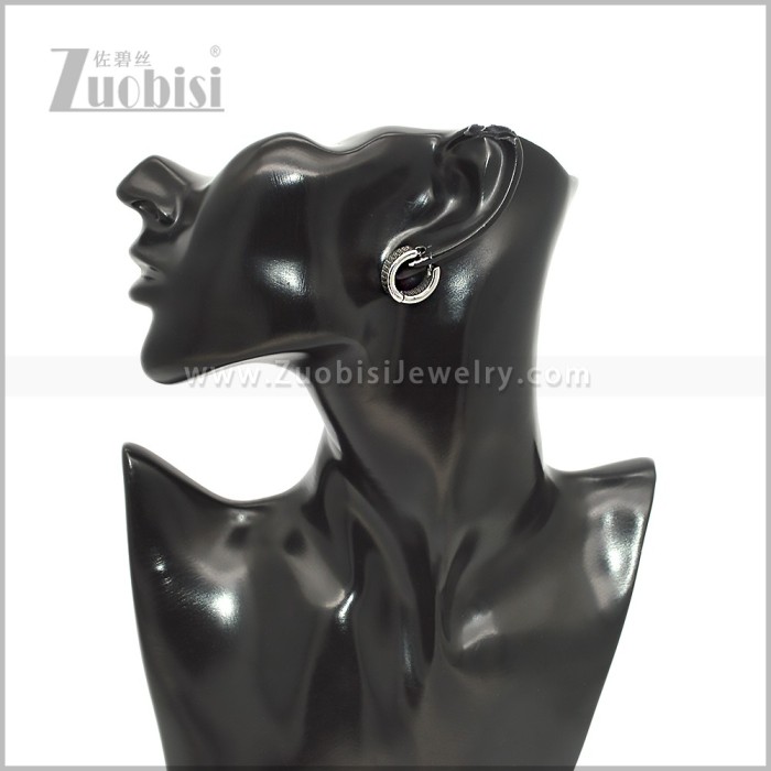 Stainless Steel Earring e002922S