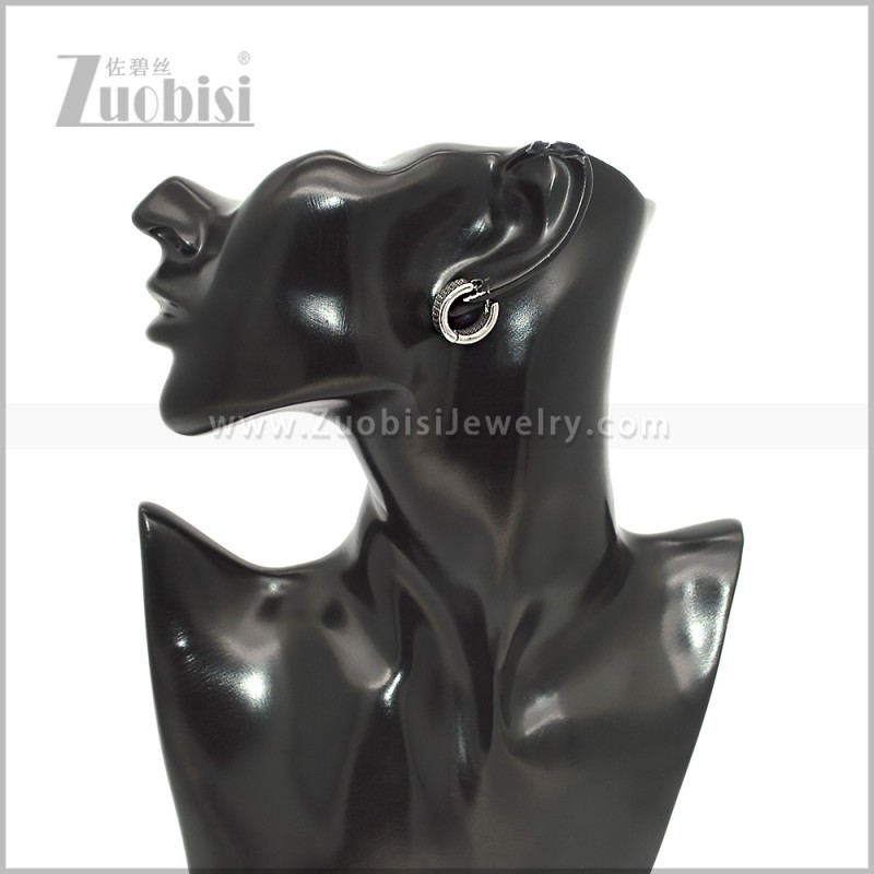 Stainless Steel Earring e002922S