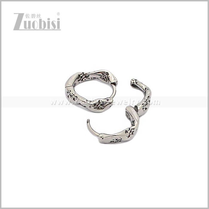 Stainless Steel Earring e002935S