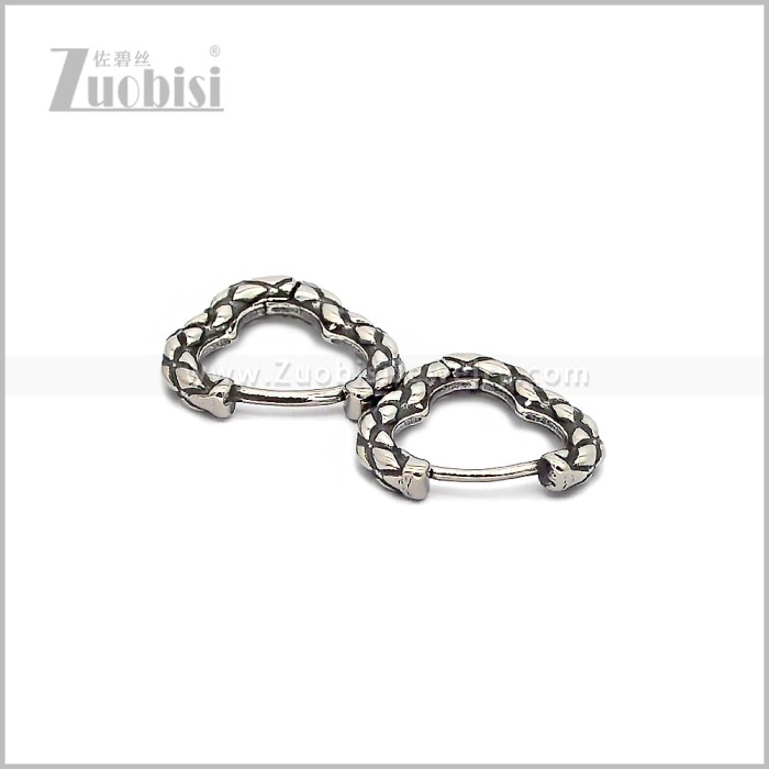 Stainless Steel Earring e002911S