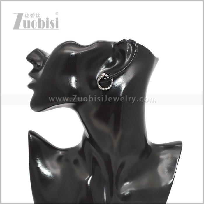 Stainless Steel Earring e002909S