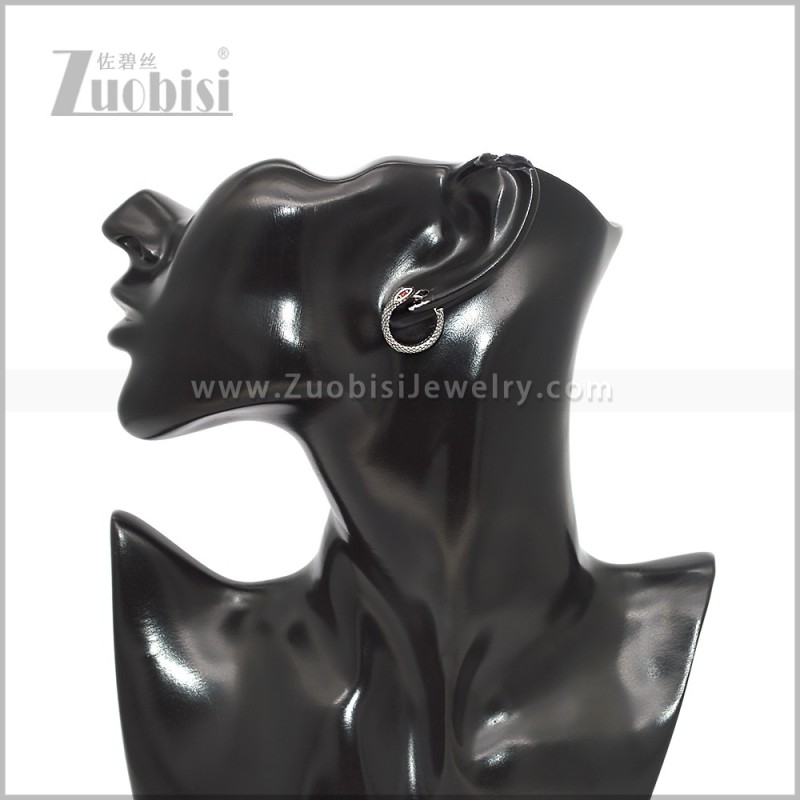 Stainless Steel Earring e002909S