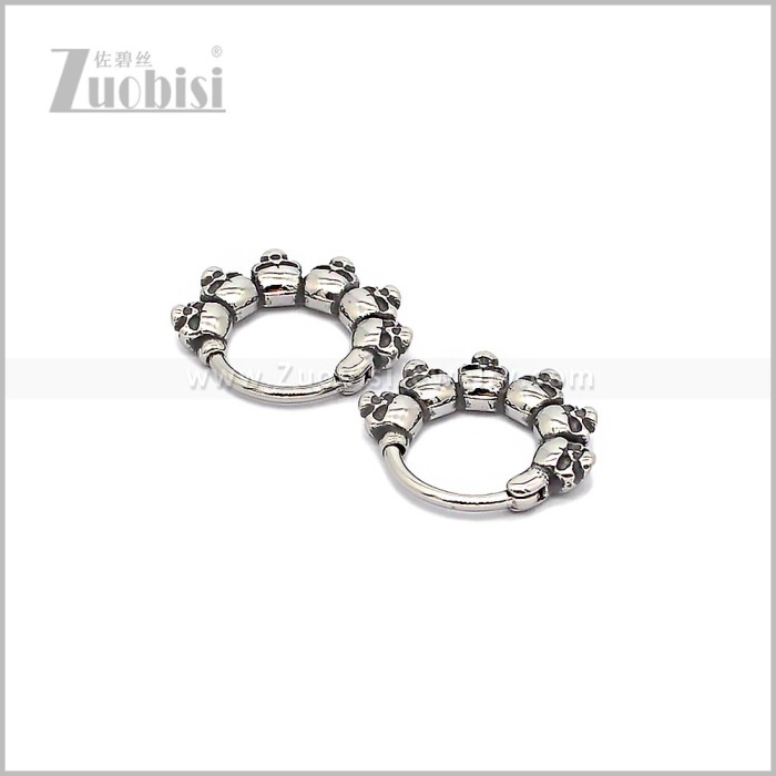 Stainless Steel Earring e002933S