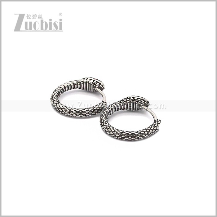 Stainless Steel Earring e002909S