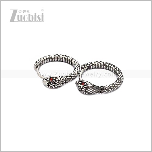 Stainless Steel Earring e002909S