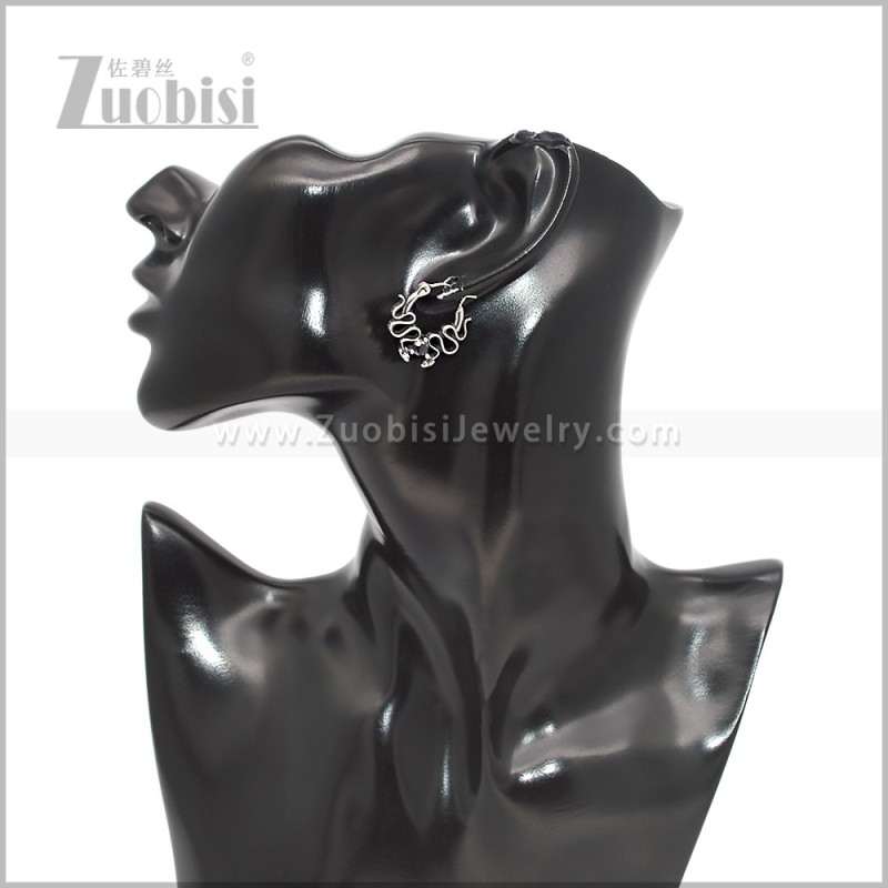 Stainless Steel Earring e002927S