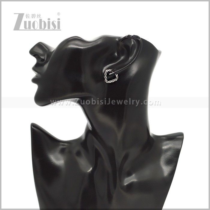 Stainless Steel Earring e002920S