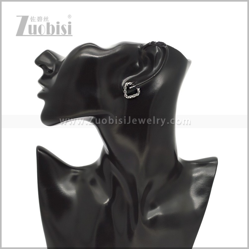 Stainless Steel Earring e002920S