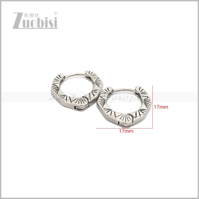 Stainless Steel Earring e002917S