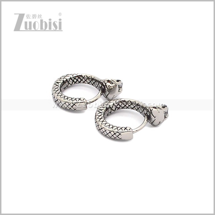 Stainless Steel Earring e002932S