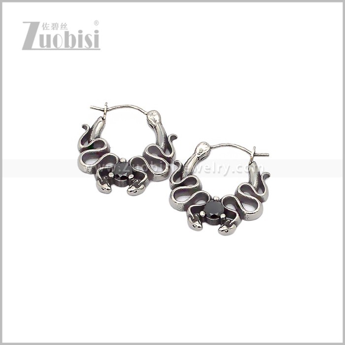 Stainless Steel Earring e002927S