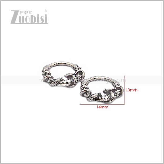 Stainless Steel Earring e002919S