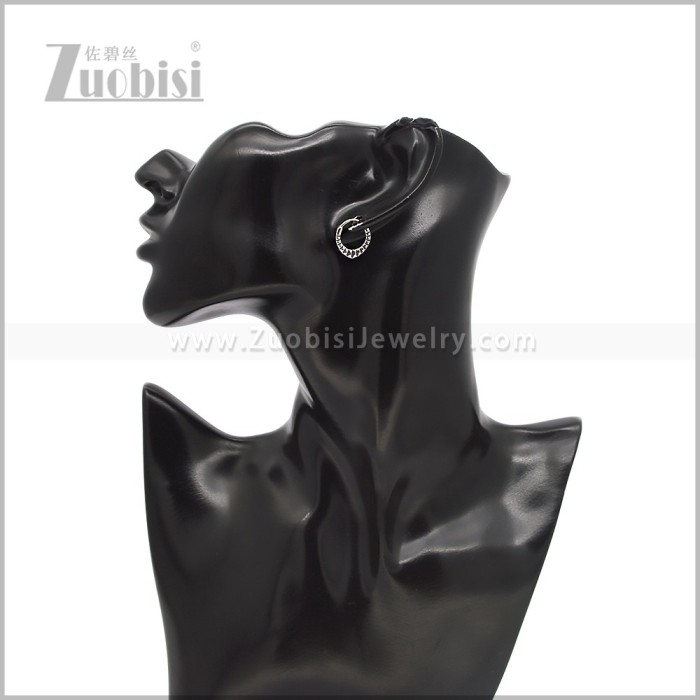 Stainless Steel Earring e002914S